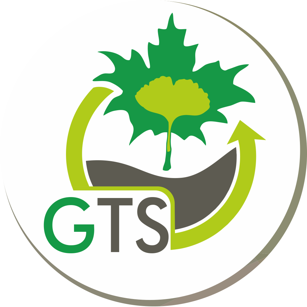 Logo PNG -GTS